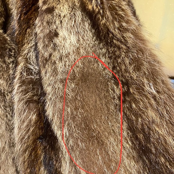 Fur Coat - Racoon - Picture 11 of 12